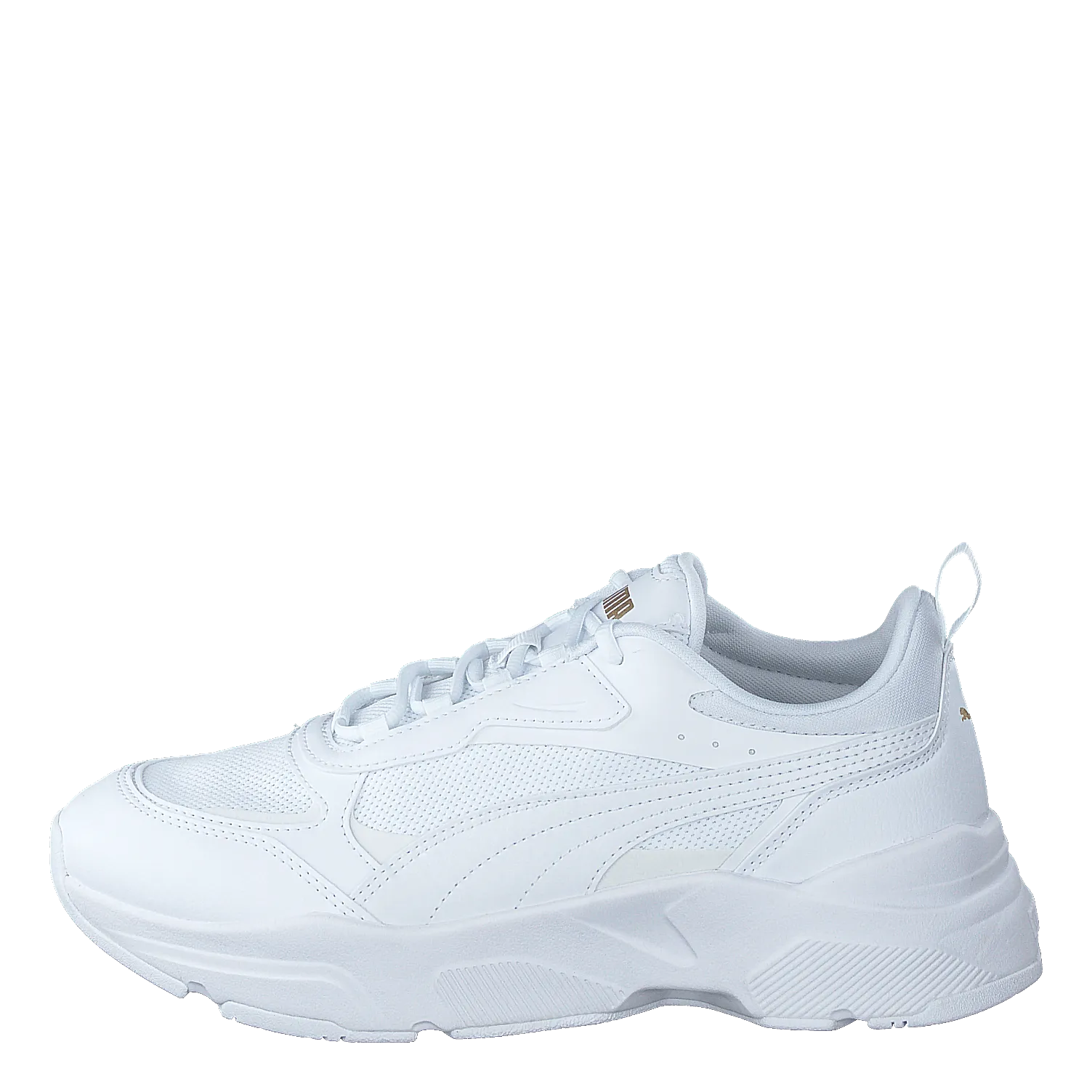 Cassia Puma White-puma White-puma Tea