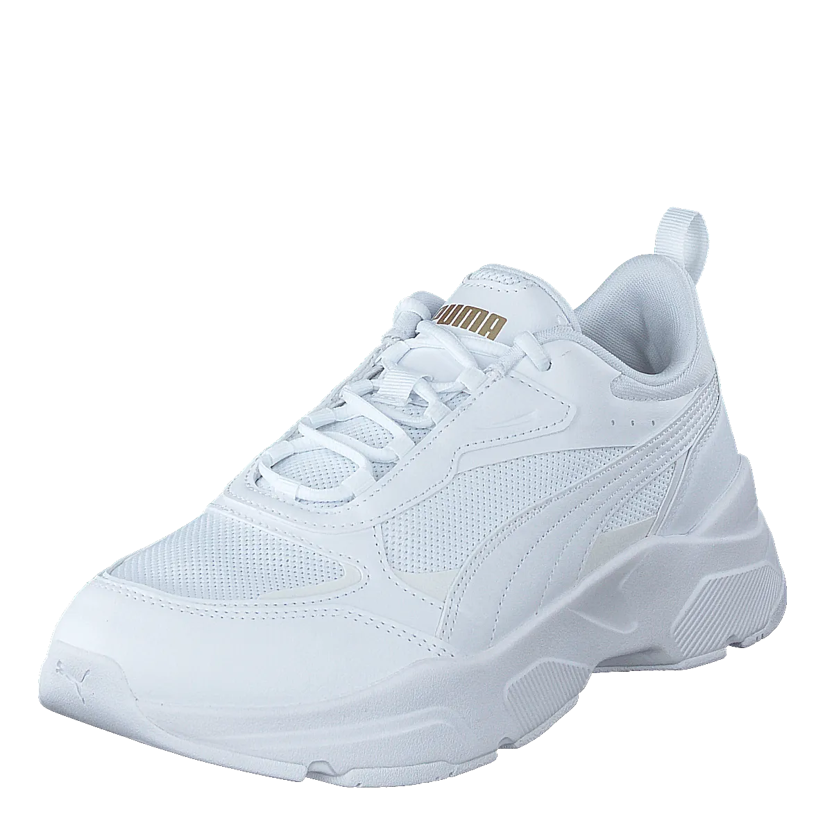 Cassia Puma White-puma White-puma Tea